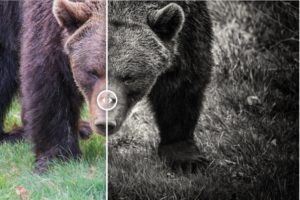 Fotos interessant gestalten