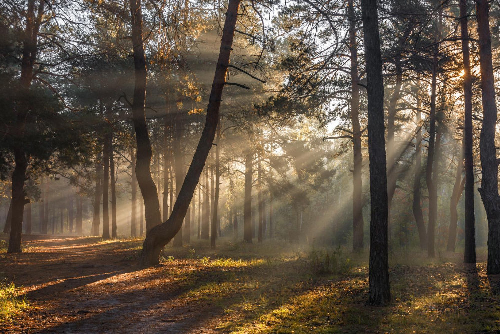 Licht als Motiv